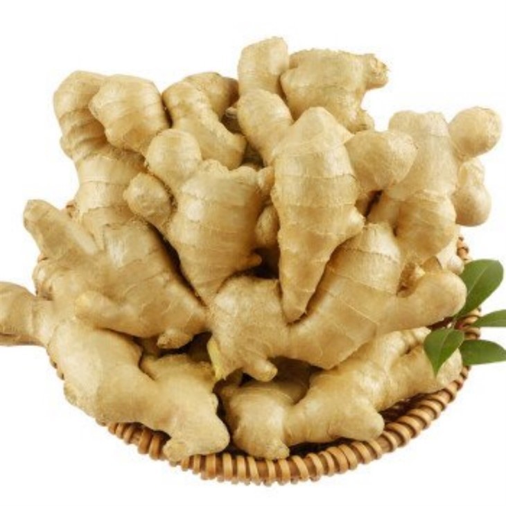 Best Quality Big Size Fresh Dry Ginger suppliers