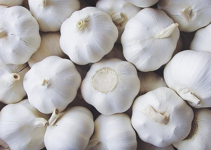 white garlic suppliers