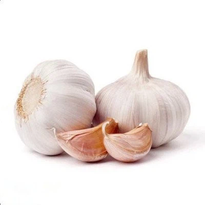 red garlic factory
