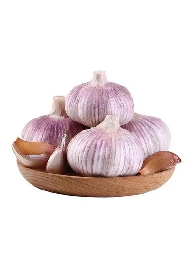 red garlic suppliers