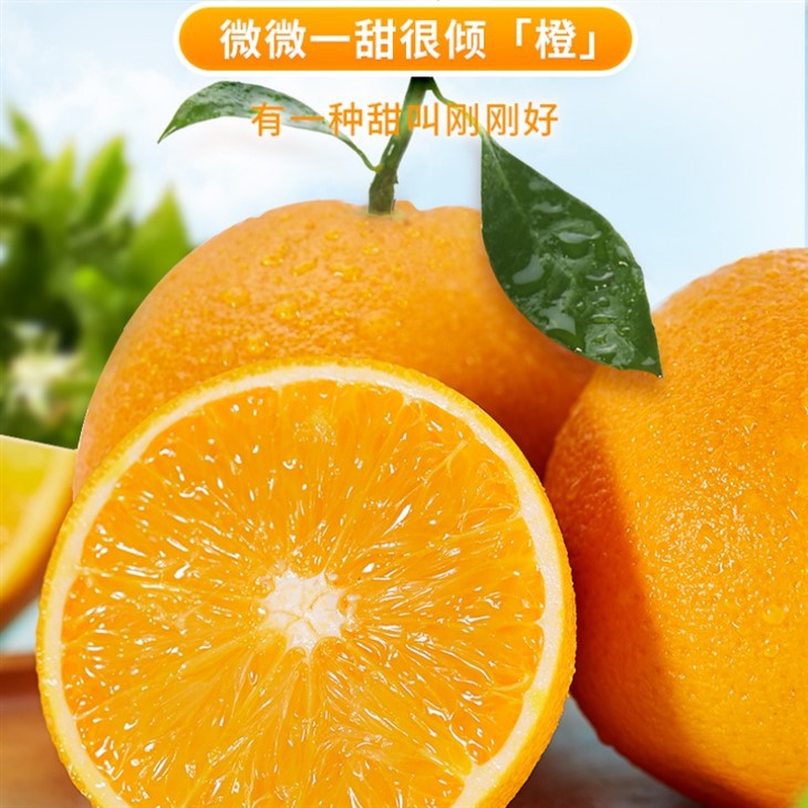Class 1 New Hall Navel Orange best