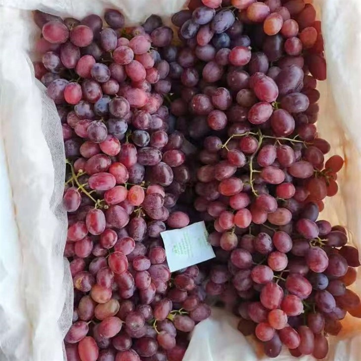 Crimson Red Seedless Grapes price