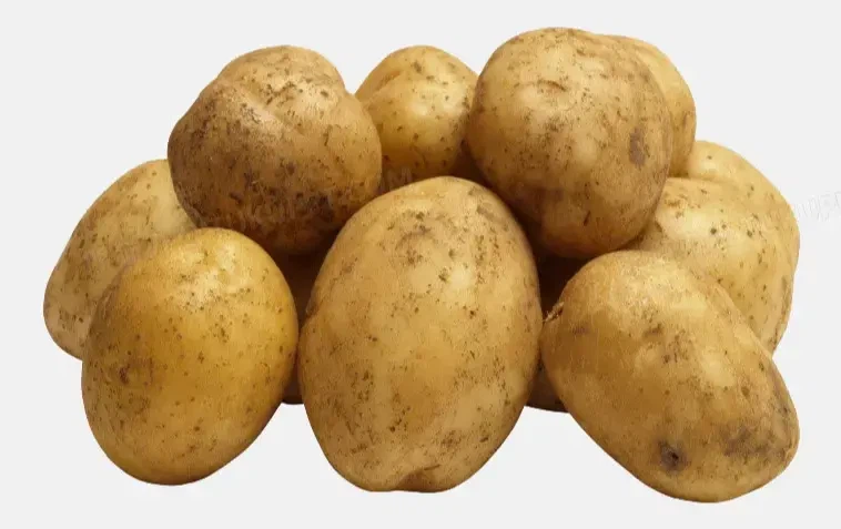 new crop yellow potato best