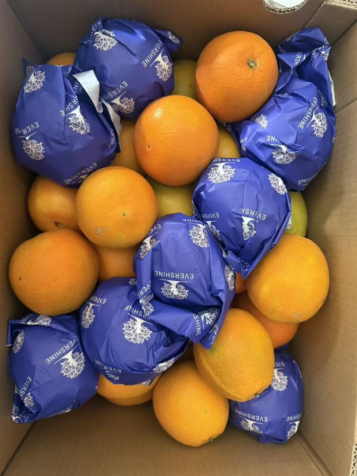 Navel Orange Valencia orange high quality