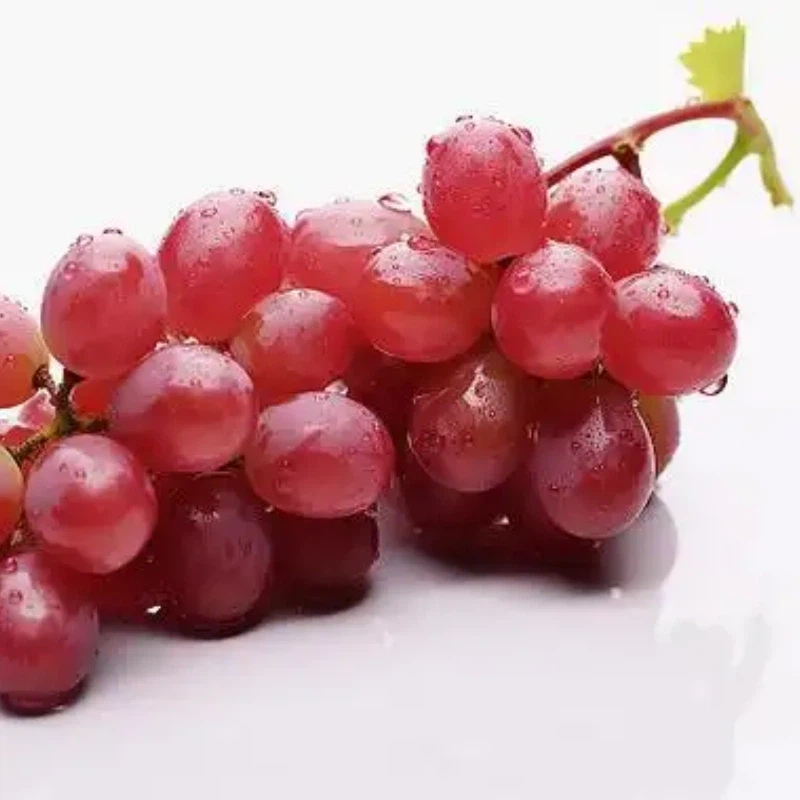 fresh red global grape factory