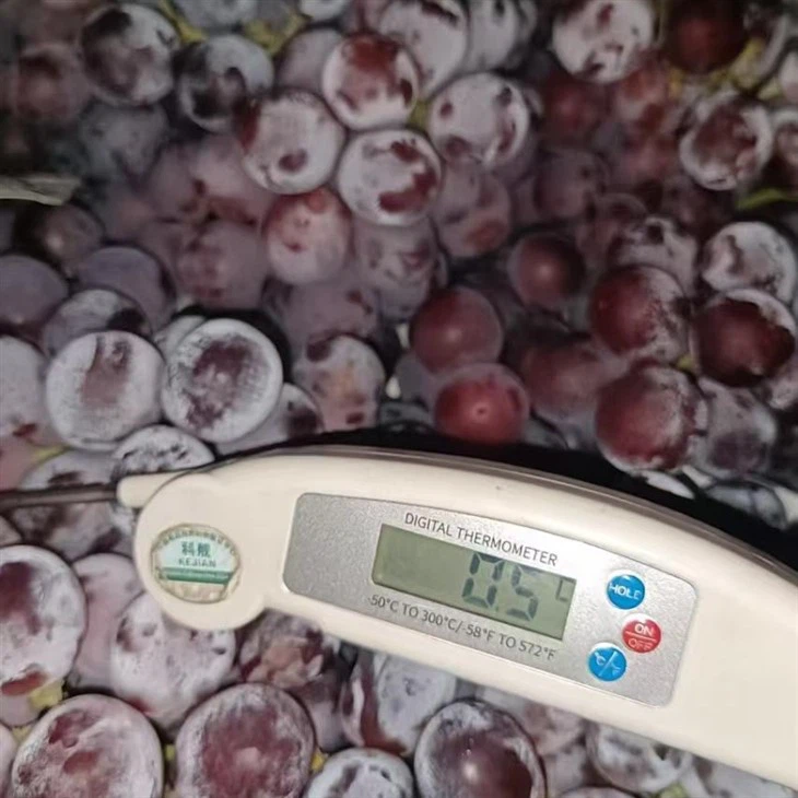 fresh red global grape price