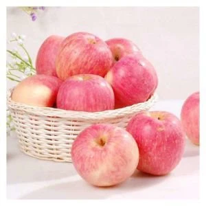 new season fuji apple factory