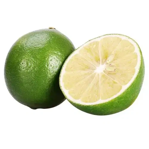Premium Lime Oranges Small Green Lime suppliers