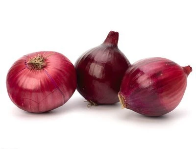 purple onion suppliers