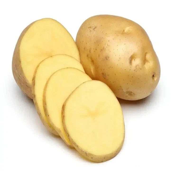 storage fresh potato factory