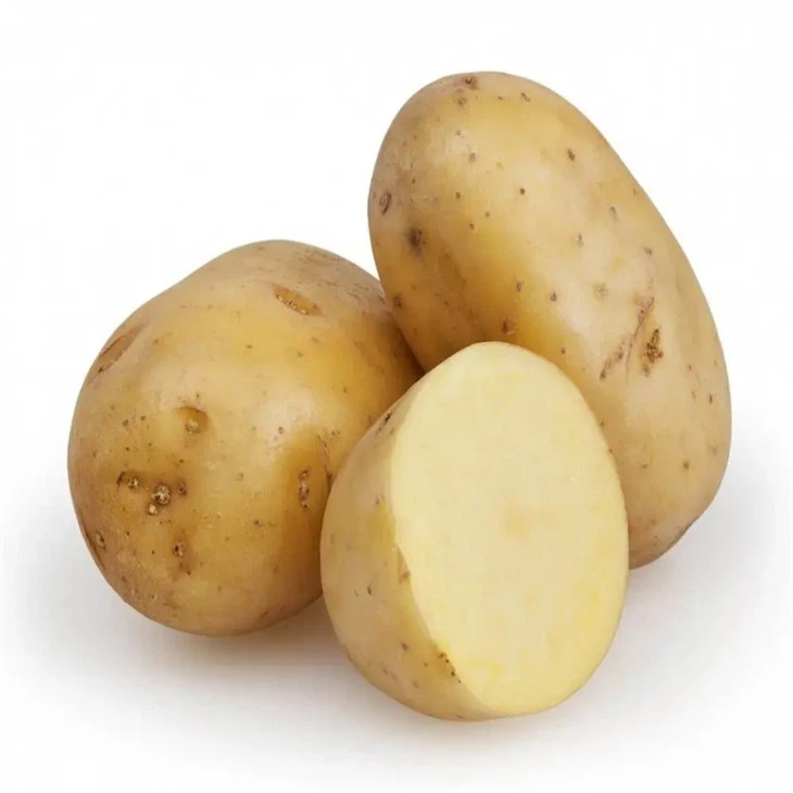 storage fresh potato high quality