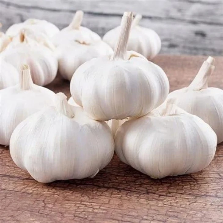 productcate-1-1 Wholesale Whole Fresh Garlic Bulbs