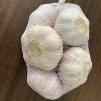 Premium Bulk Fresh Garlic Supply