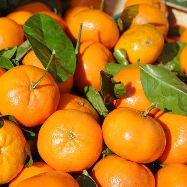 wogan mandarin factory