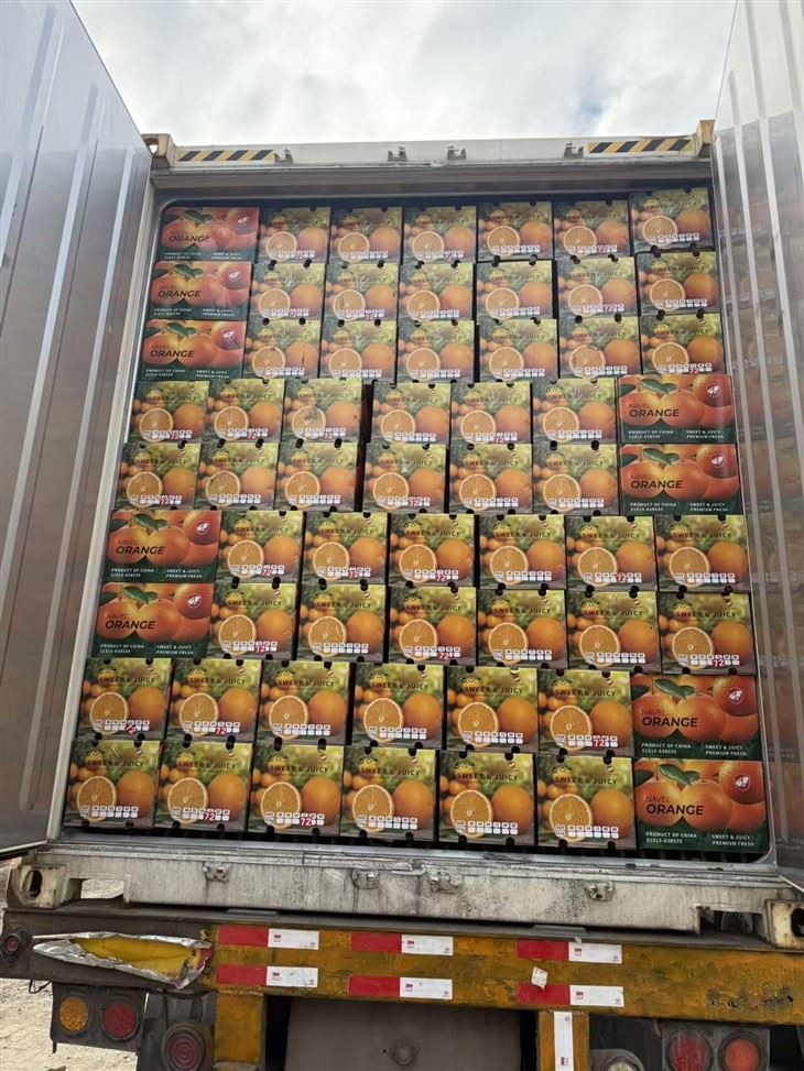 Wholesale Class 1 New Hall Navel Orange factory