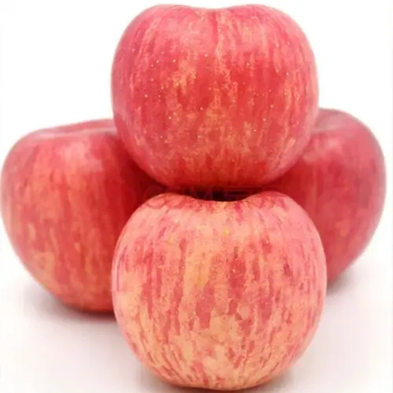 Wholesale Crispy Sweet Red Fuji Apples high quality