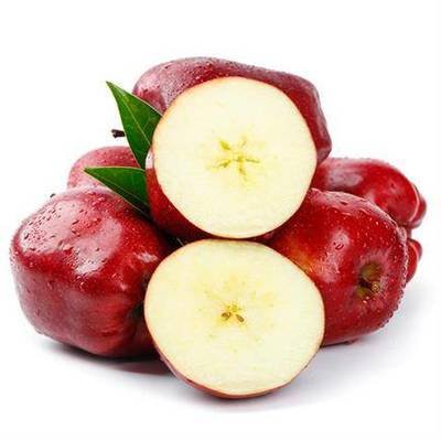 Wholesale Fresh Apple Huaniu Apples price