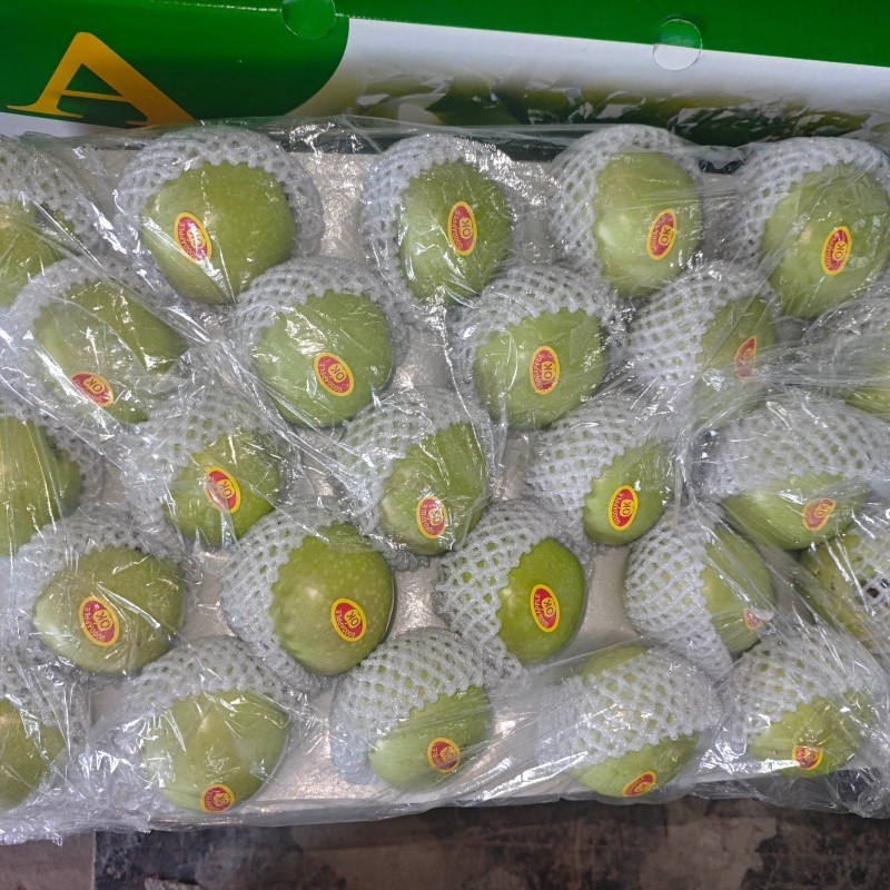 100 Fresh Apples Green suppliers
