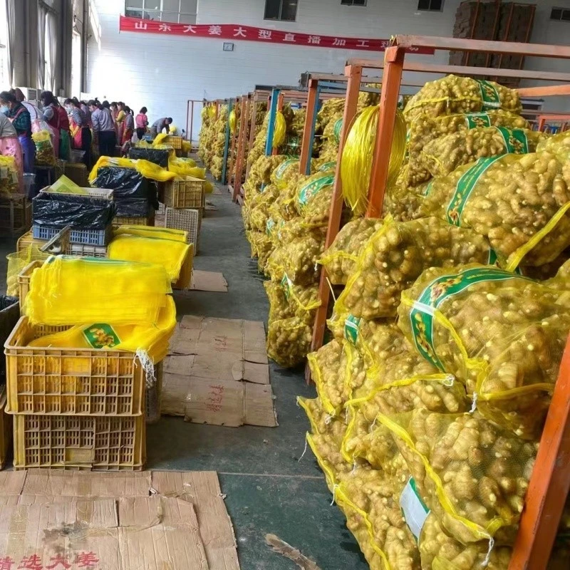 100g Fresh Ginger factory
