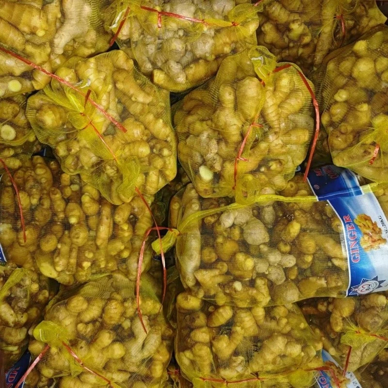 100g Fresh Ginger suppliers