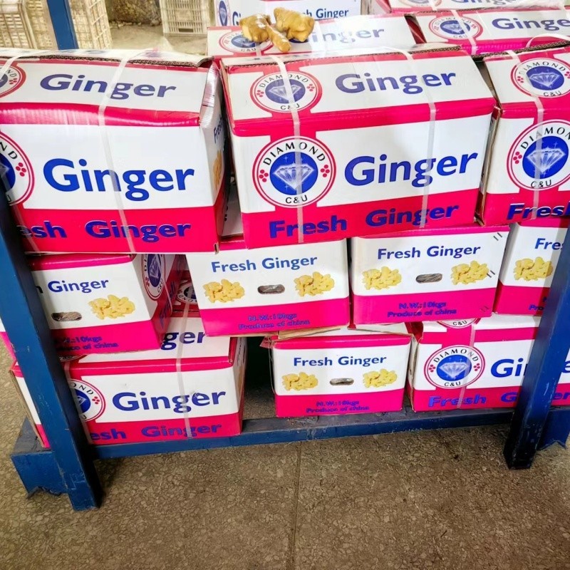 fresh ginger with carton best
