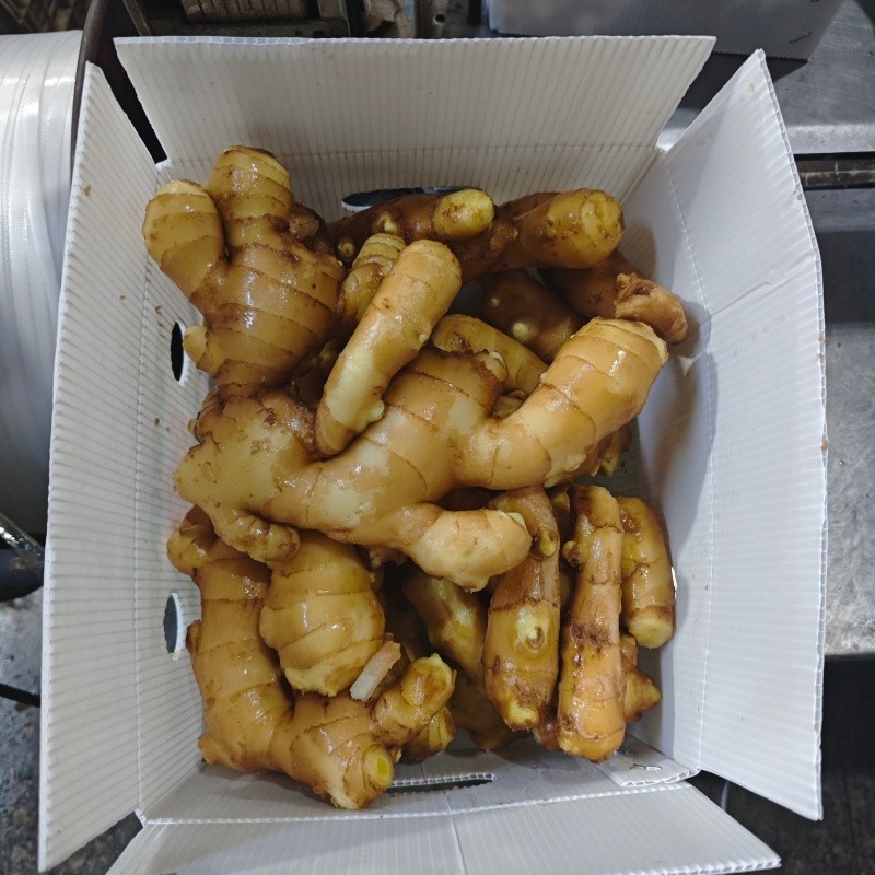 fresh ginger with carton high quality