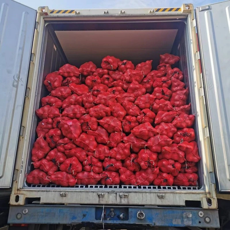 23kgs Mesh Bag Red Onion high quality