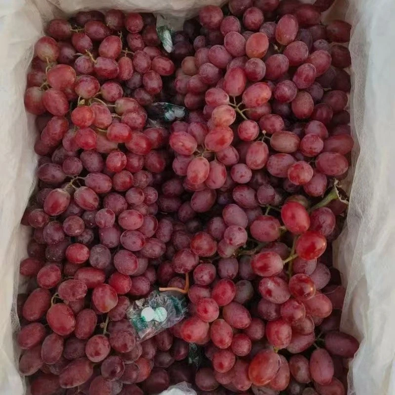 24mm Seedless Crimson Grape suppliers