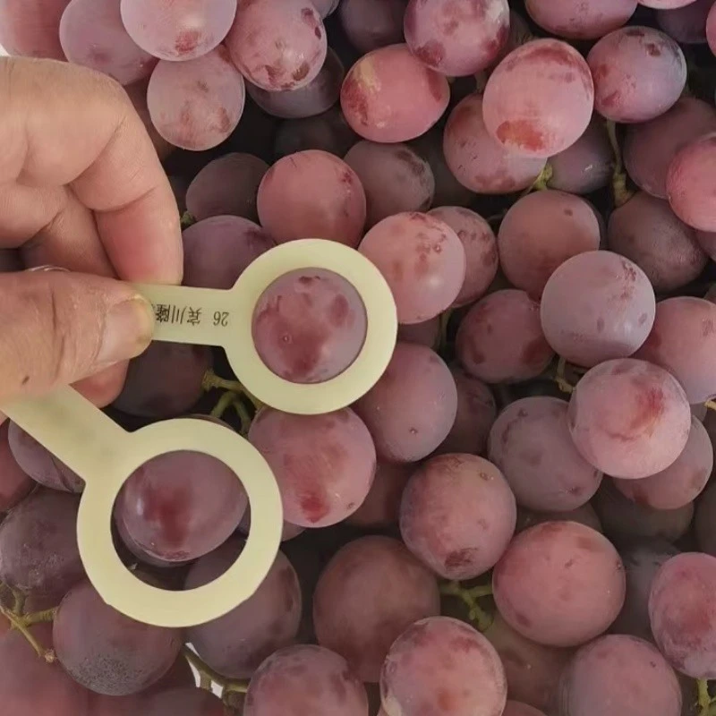 26mm Red Global Grape factory