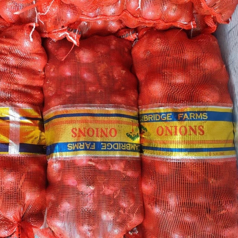 4-6cm Red Onion high quality