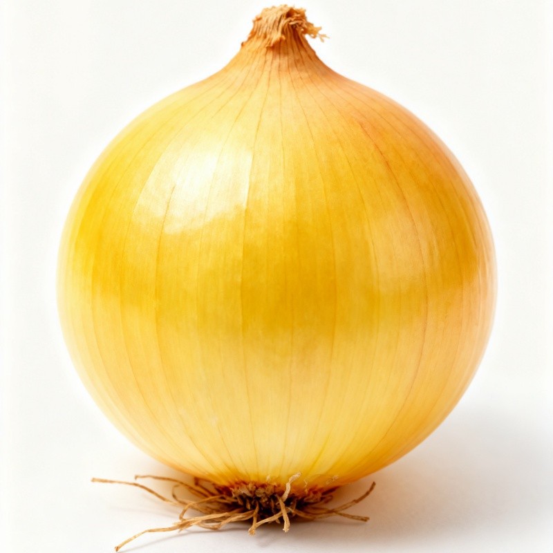 4-6cm Yellow Onion suppliers