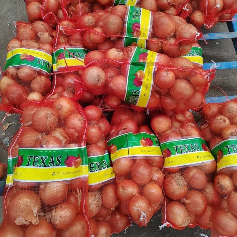 4-6cm Yellow Onion best