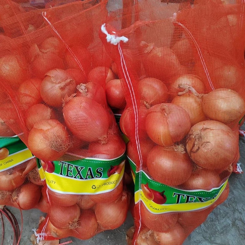 4-6cm Yellow Onion high quality