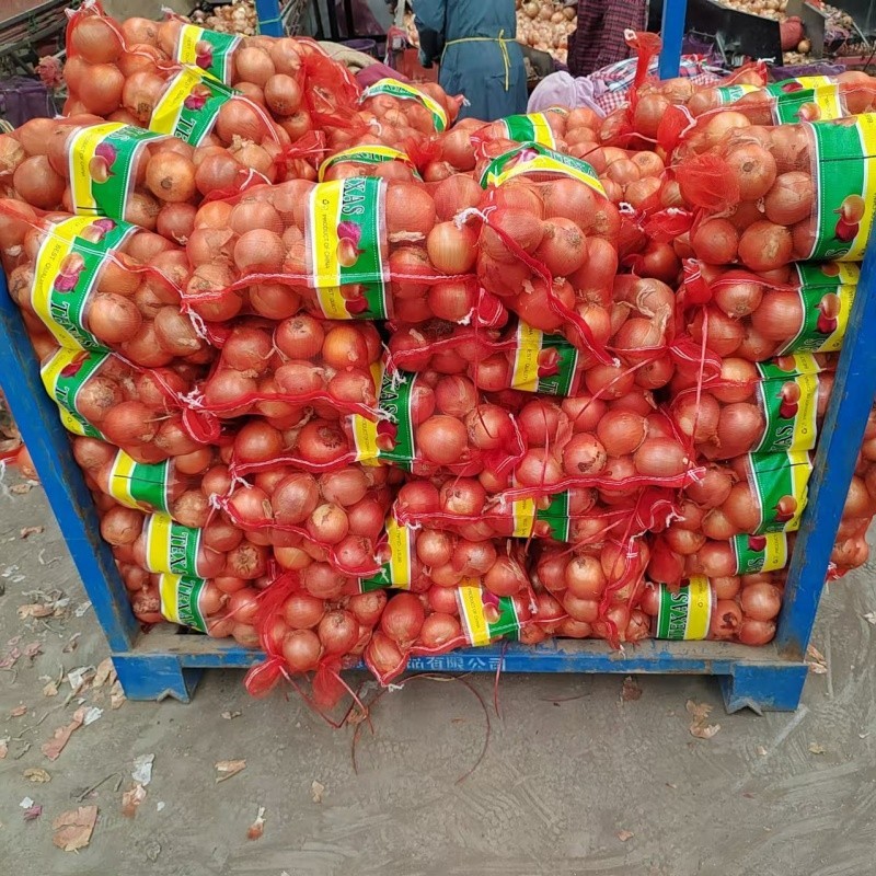 4-6cm Yellow Onion price
