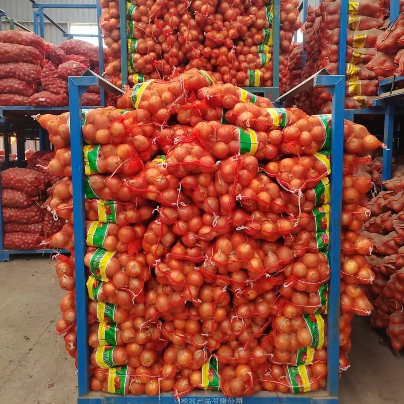 7-9cm Yellow Onion factory