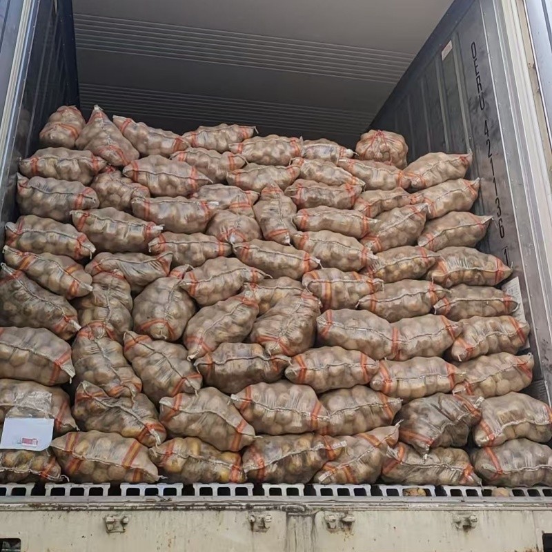 80g Mesh Bag Cold Room Potato suppliers