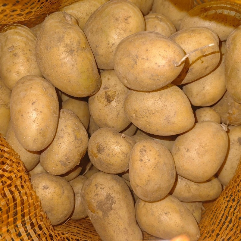 80g Mesh Bag Cold Room Potato best