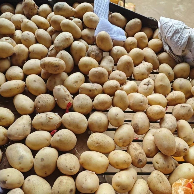 80g Mesh Bag Cold Room Potato high quality