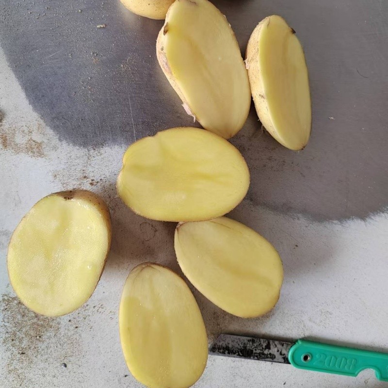 80g Mesh Bag Cold Room Potato price