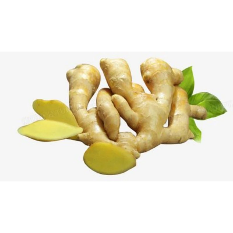 Best Quality Big Size Fresh Dry Ginger