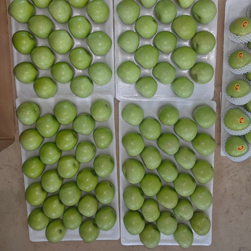 Class 1 Fresh Green Apples suppliers