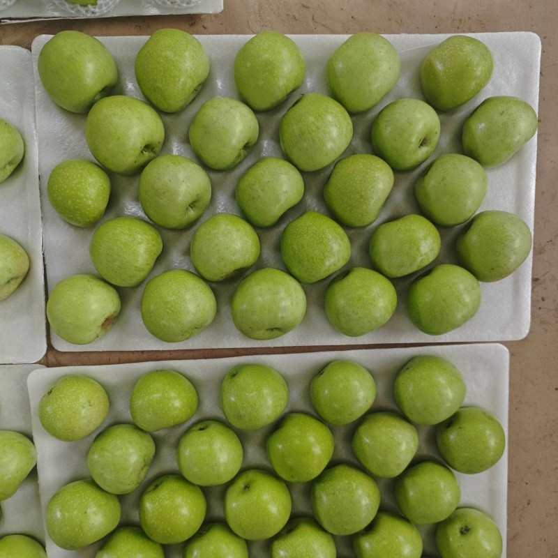 Class 1 Fresh Green Apples price