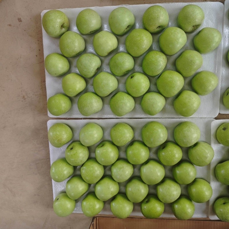 Class 1 Fresh Green Apples best