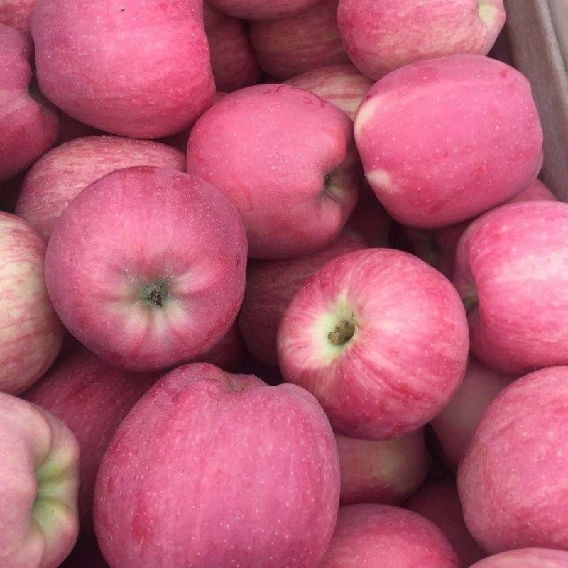 Class 1 Red Star Apple factory
