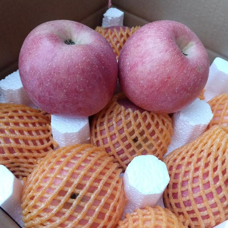 Class 1 Red Star Apple best