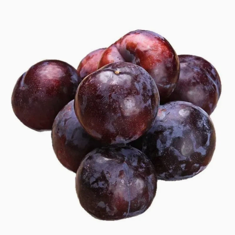 fresh sweet plum