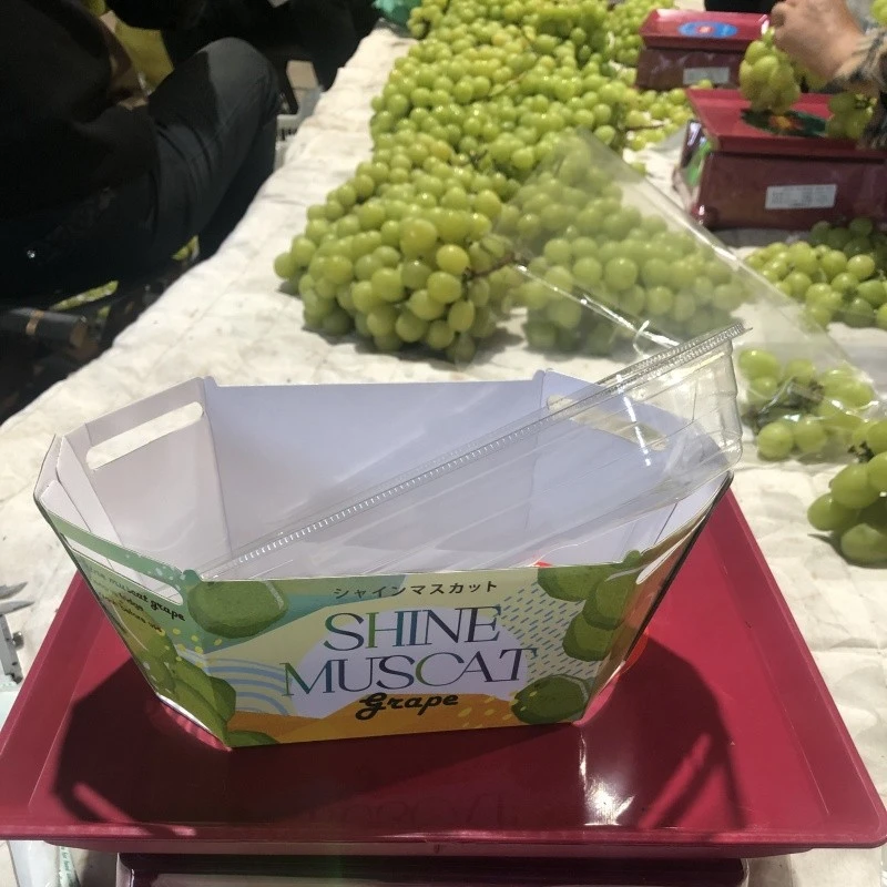 Fresh Sunshine Muscat factory