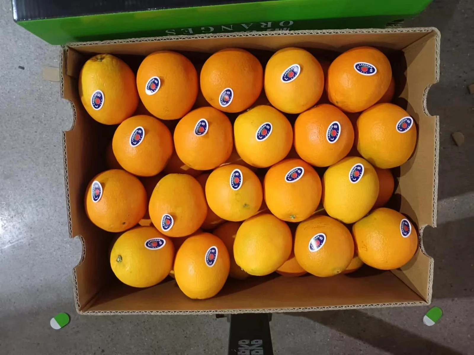 fresh oranges fresh oranges