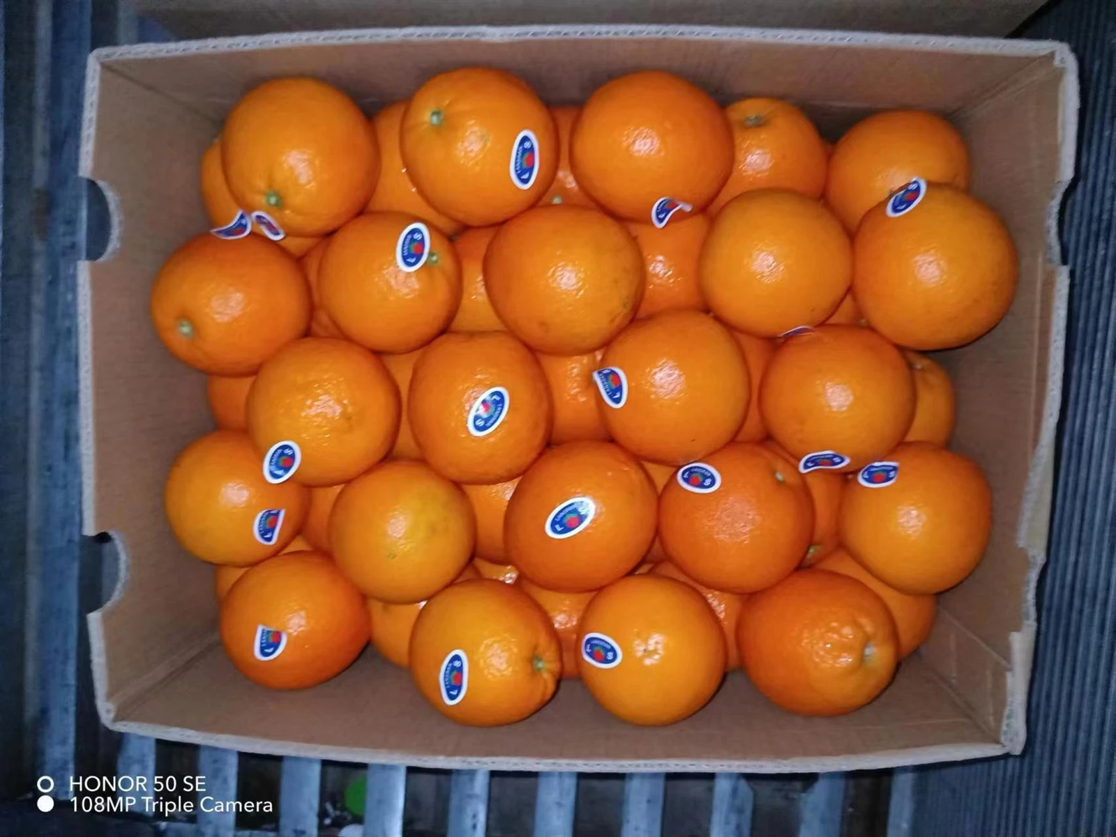 fresh orange fresh orange