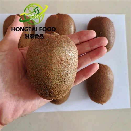 Export Fresh Chinese Kiwi Fruit